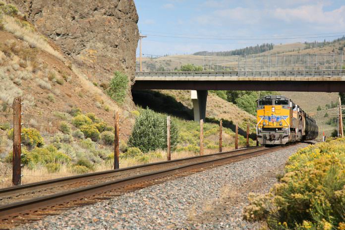 A Union Pacific locomotive travels through Colorado. Credit: Randall Vermillion/Shutterstock.