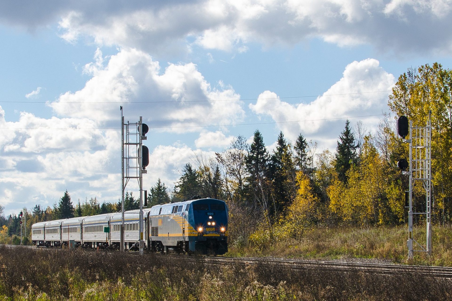 VIA Rail launches procurement for new QuebecWindsor train fleet Rail UK