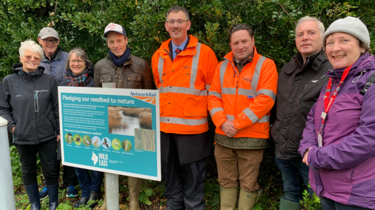 Network Rail pledges 16 acres of Norfolk reedbed to nature