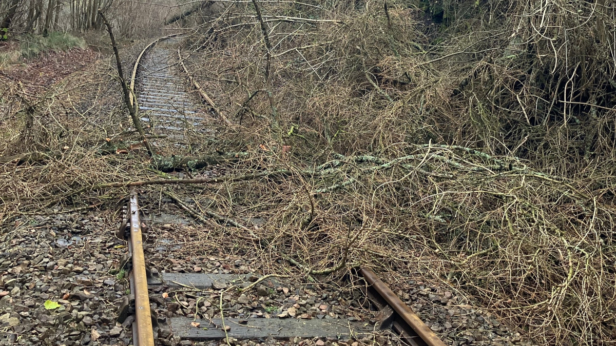 Storm Eowyn disrupts travel across Great Britain - Rail UK