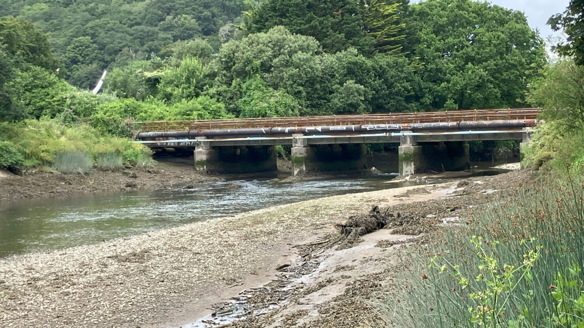 Bridge Pl Rye Passengers urged to plan ahead as River Plym bridge gets major upgrade ...