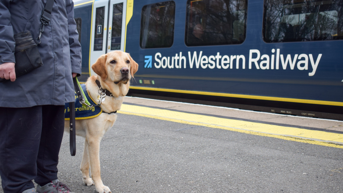 South Western Railway assists with Guide Dog puppy training - Rail UK
