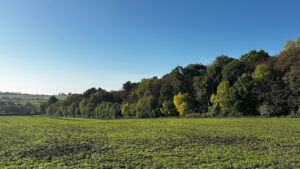 TRU purchases biodiversity units from Leeds City Council for local woodland enhancement