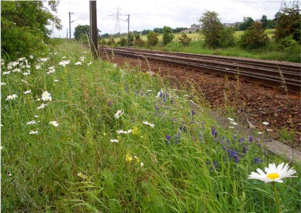 Network Rail Launches Environmental Sustainability Strategy - Rail UK